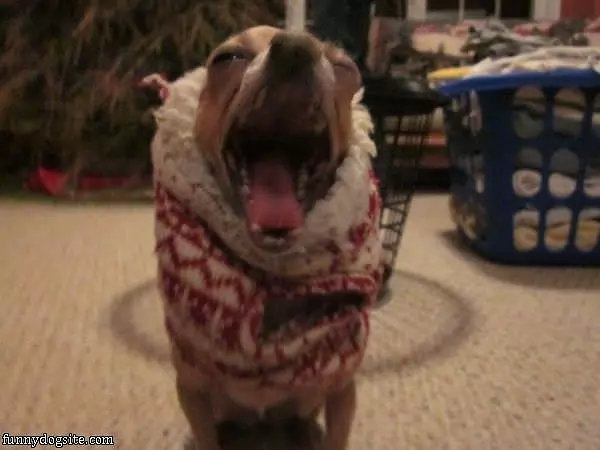 Giant Yawn