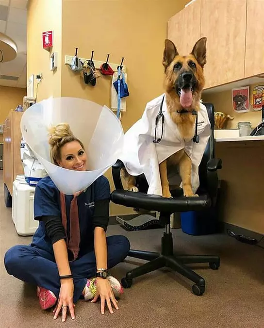 Woof