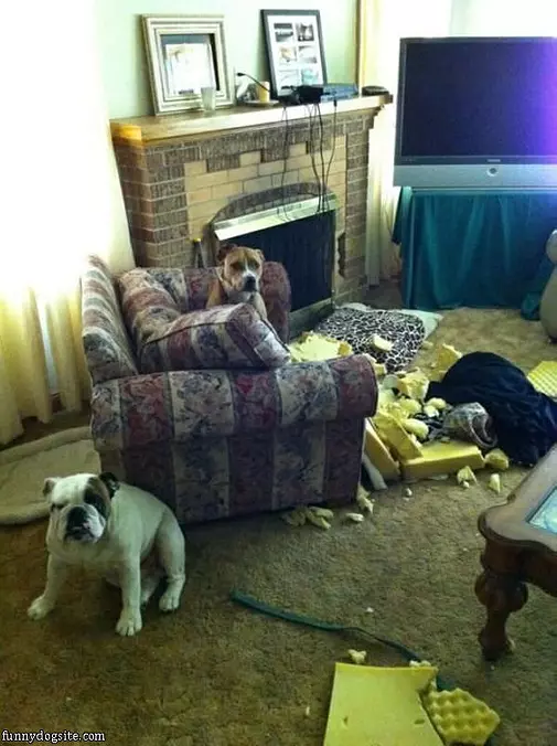 Quite The Party Here