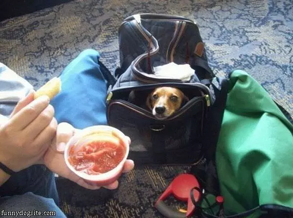 Can I Have Some