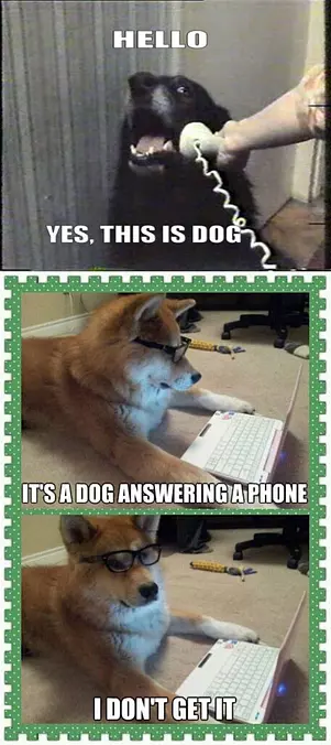 I Dont Get It