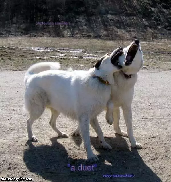 Singing A Duet