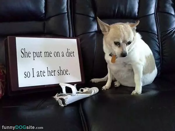 No Diets