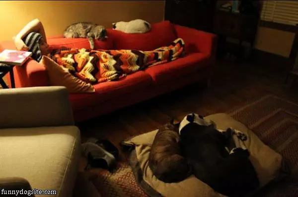 Sharing The Bed