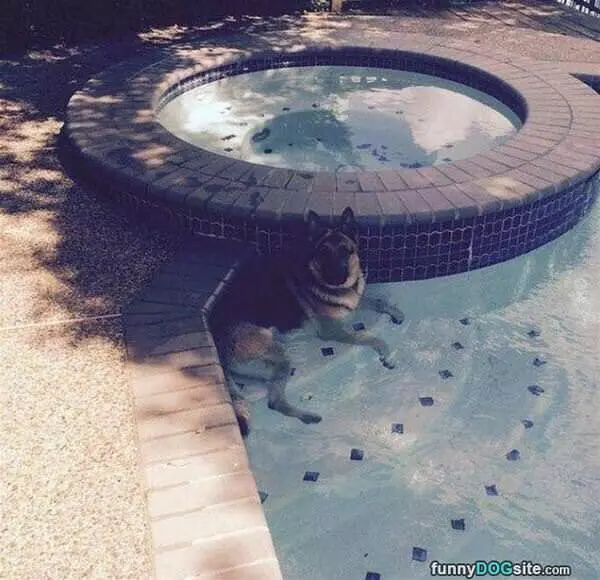 Chilling In The Pool