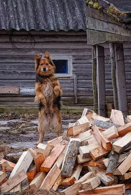 Standing Tall