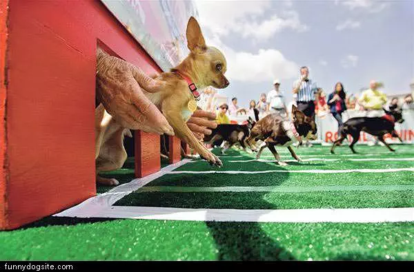 Race