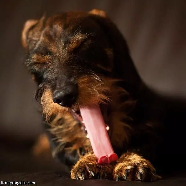 Super Long Tongue