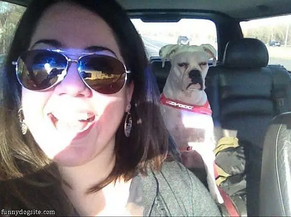 Not A Happy Dog