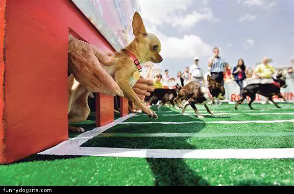 Race
