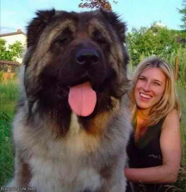 Woof
