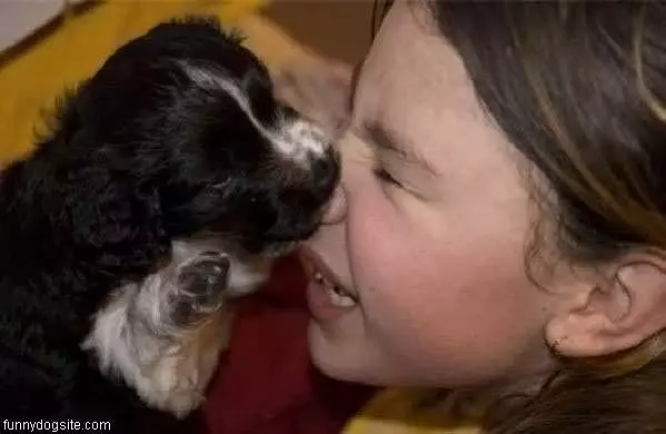 Nibble