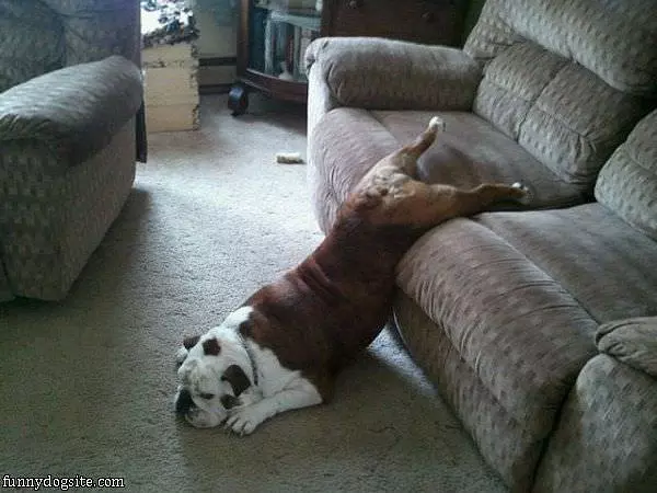 So Comfortable