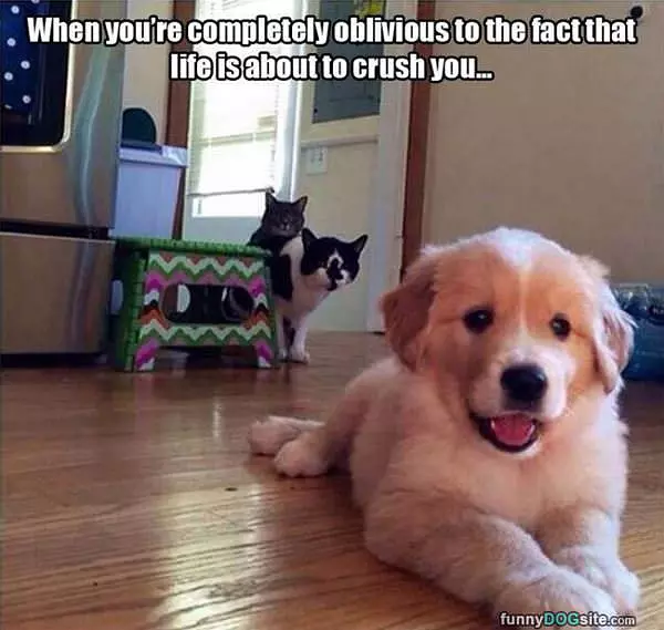Completely Oblivious