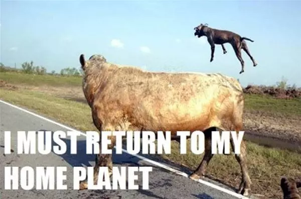 Home Planet