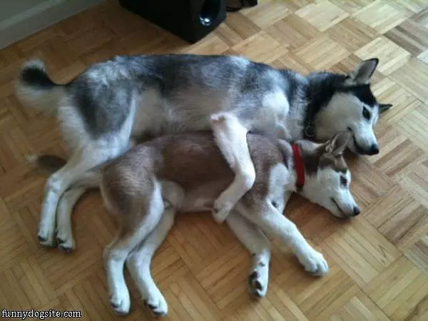 Big Hugs