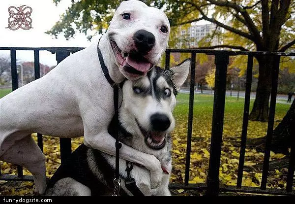 Hugz