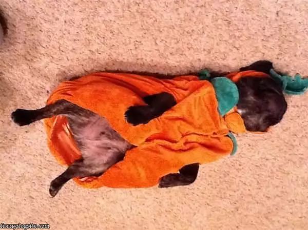Halloween Makes Me Tired