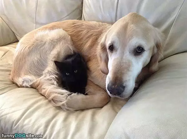 Cuddles Time