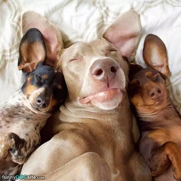 All Tucked In