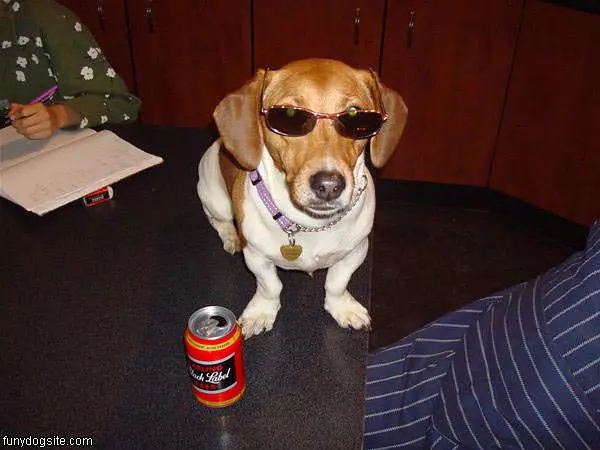 Lucky The Beer Drinking Dog