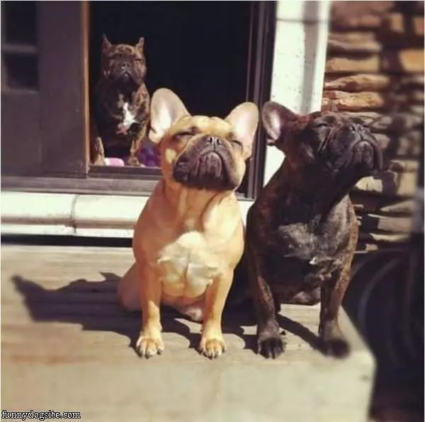 The Sun Feels So Good