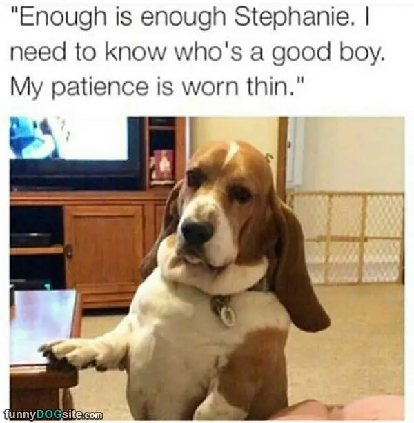 Who Is A Good Boy