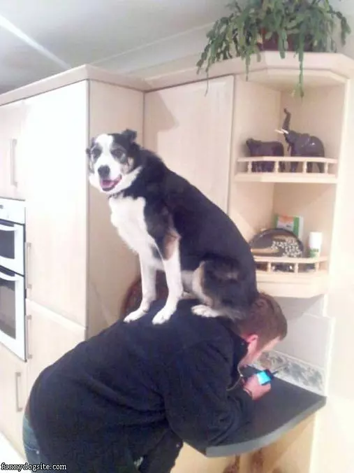 Great Place To Sit