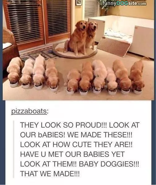 They Look So Proud