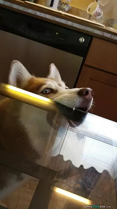 Nommmmmm