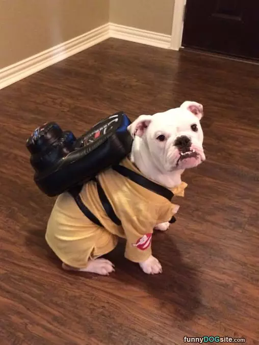 Ghost Buster