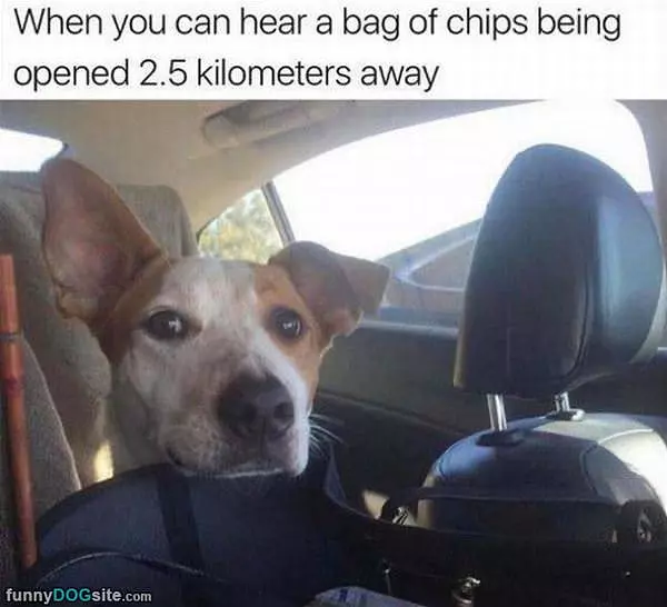 I Can Hear It
