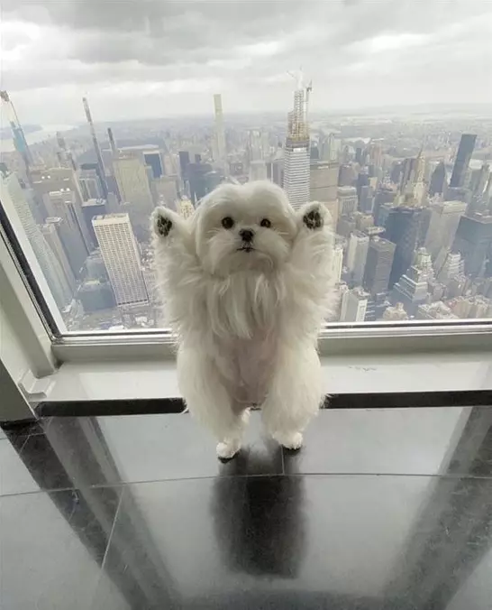 Put My Hands Up