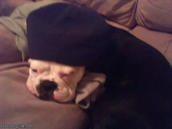 My Sleeping Hat
