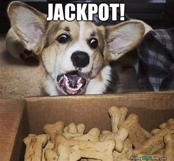I Hit The Jackpot