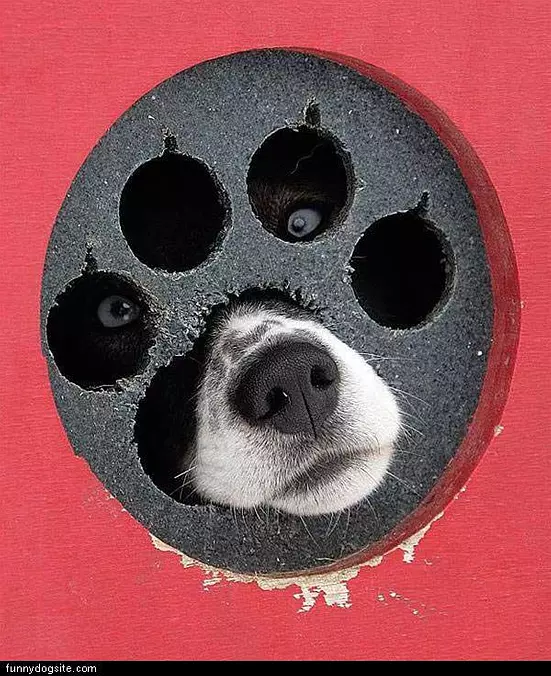 Caught Peaking