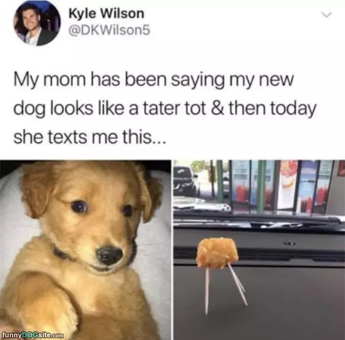 A Tater Tot