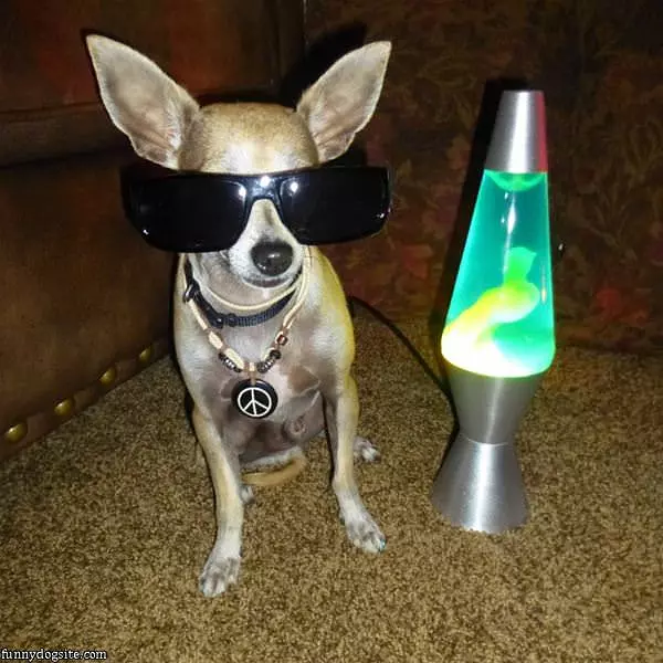Sherlock Is Groovy