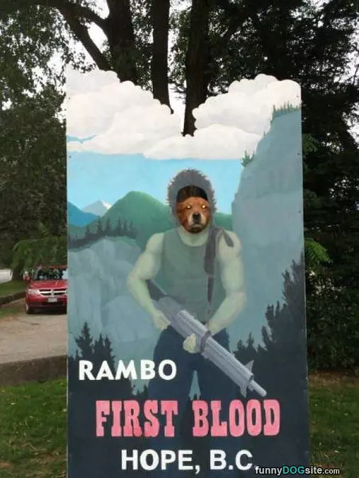 Rambo Dog