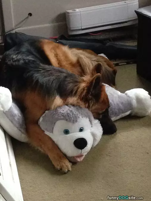 My Favorite Place To Nap