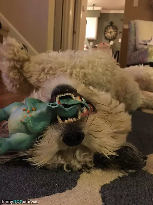 Playyyyy Time