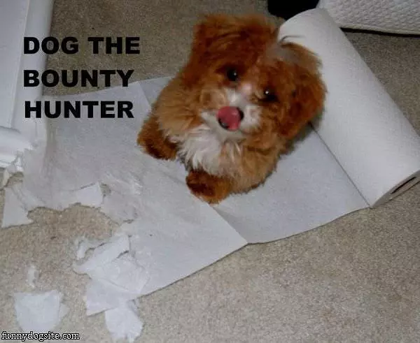 Bounty Hunter