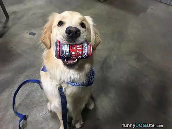 Got You This