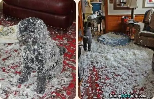 I Made A Little Mess