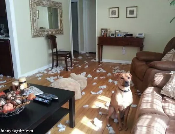 Yup It Was Me