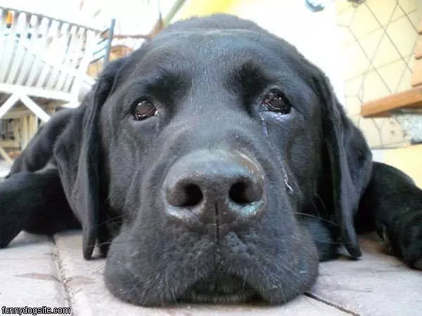Super Closeup