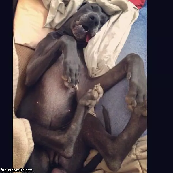 Sooo Passed Out