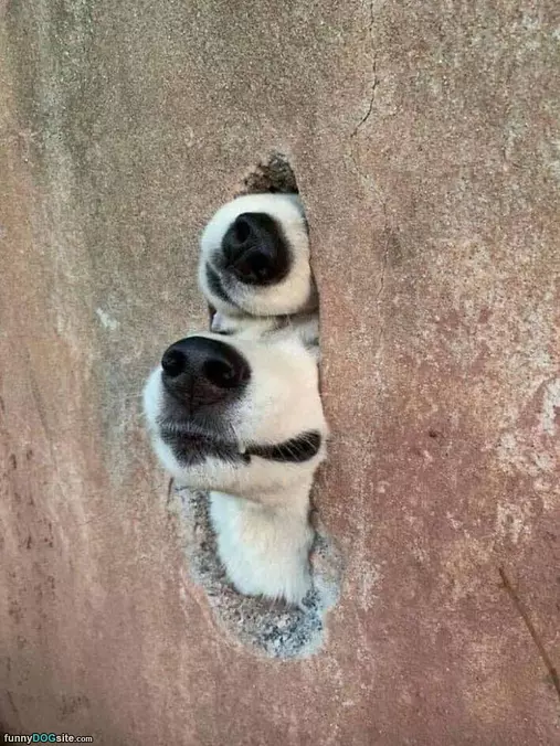 Hey Guys