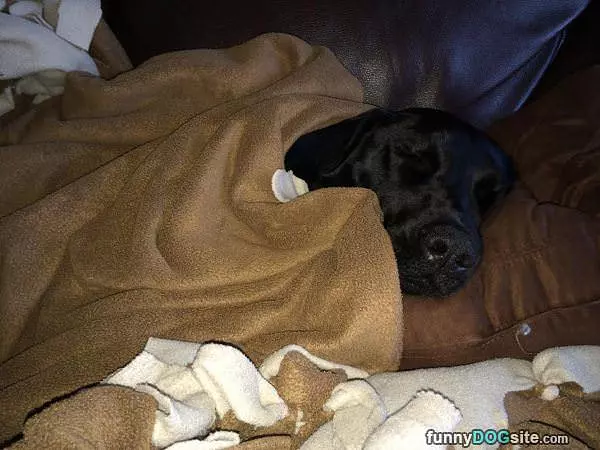 All Tucked In