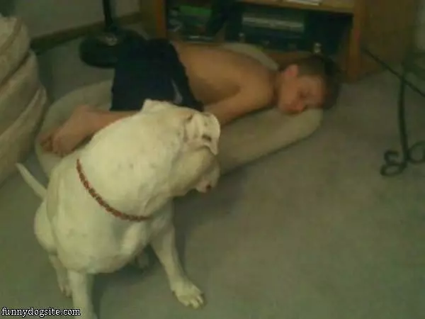 That Used To Be My Bed